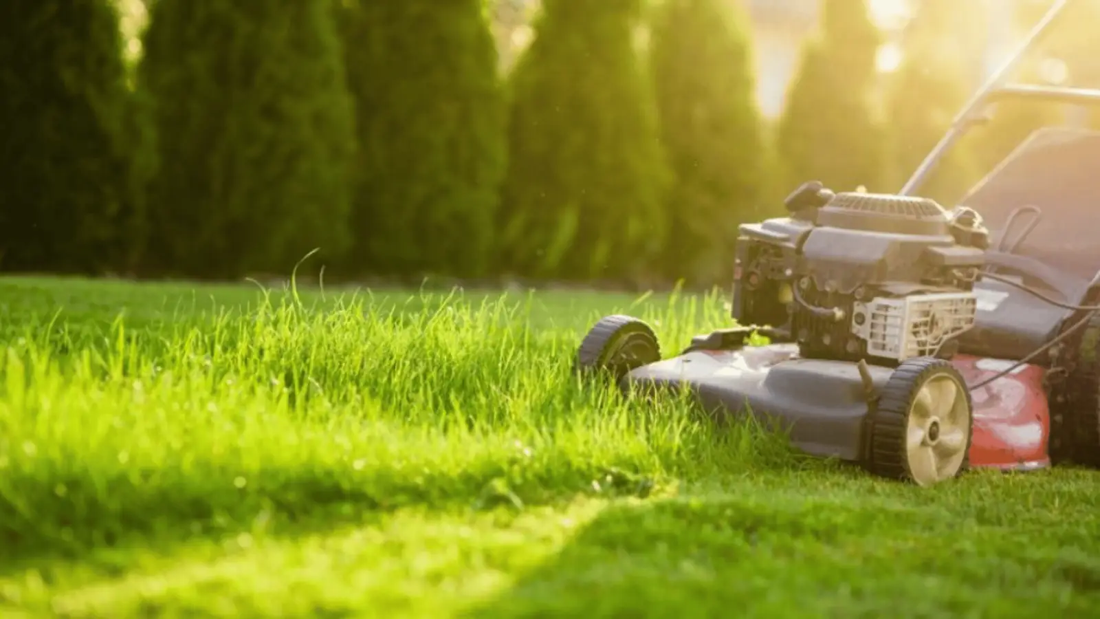 MDA Services — lawn care in Narellan